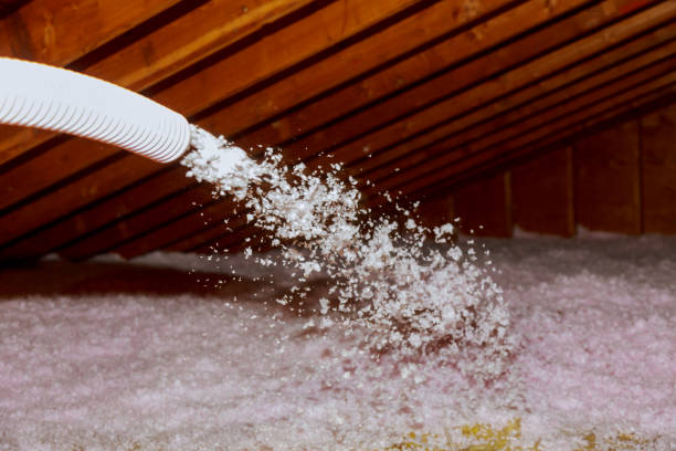 Best Commercial Insulation in Natalia, TX