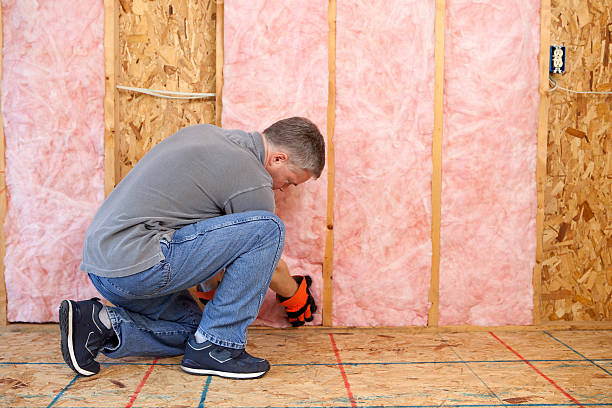 Best Spray Foam Insulation in Natalia, TX