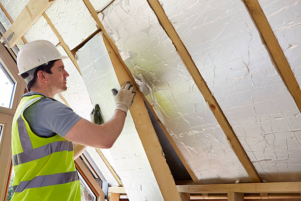 Types of Insulation We Offer in Natalia, TX
